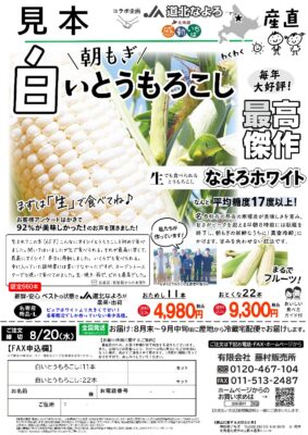 17929image